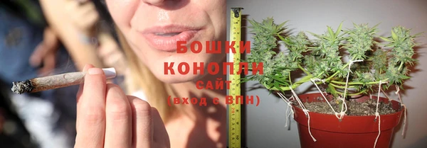 мескалин Новозыбков